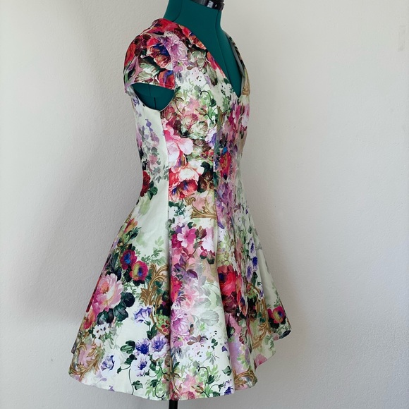 Floral True Decadence Mini Tea V-neck dress Sz 10 - Picture 8 of 11